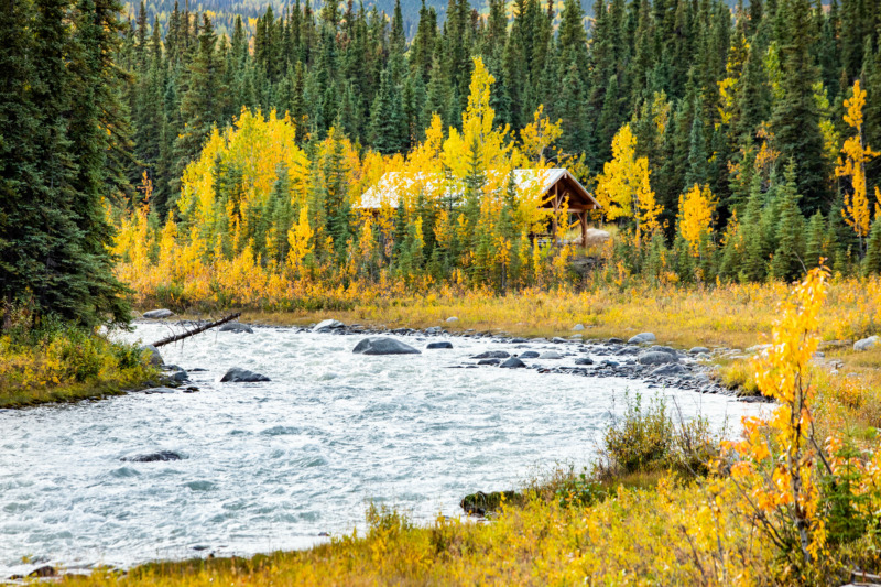 Scenic view of Savage river and cabin in Denali national park