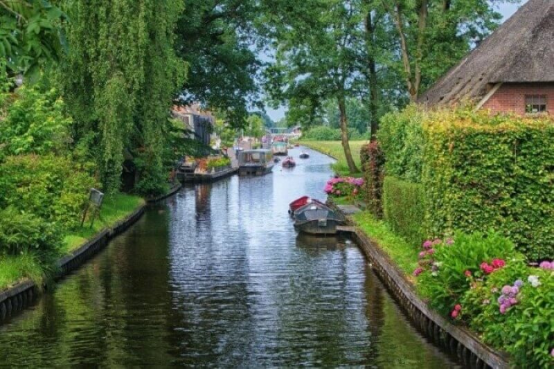 Canals Surrounded with Plants