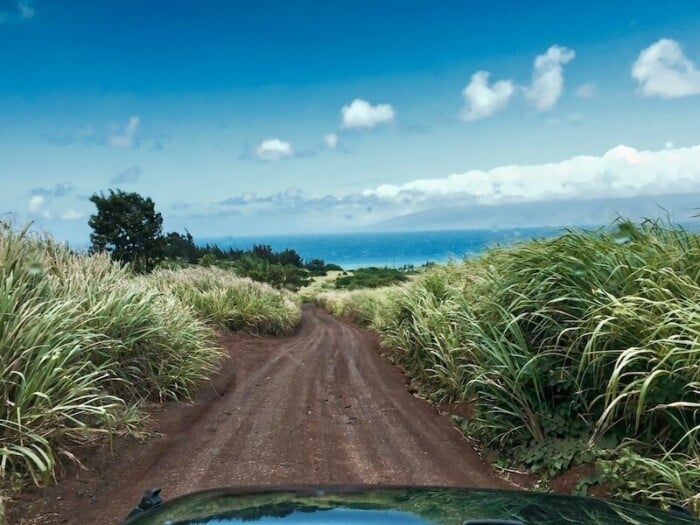 Hawaii Road Trip