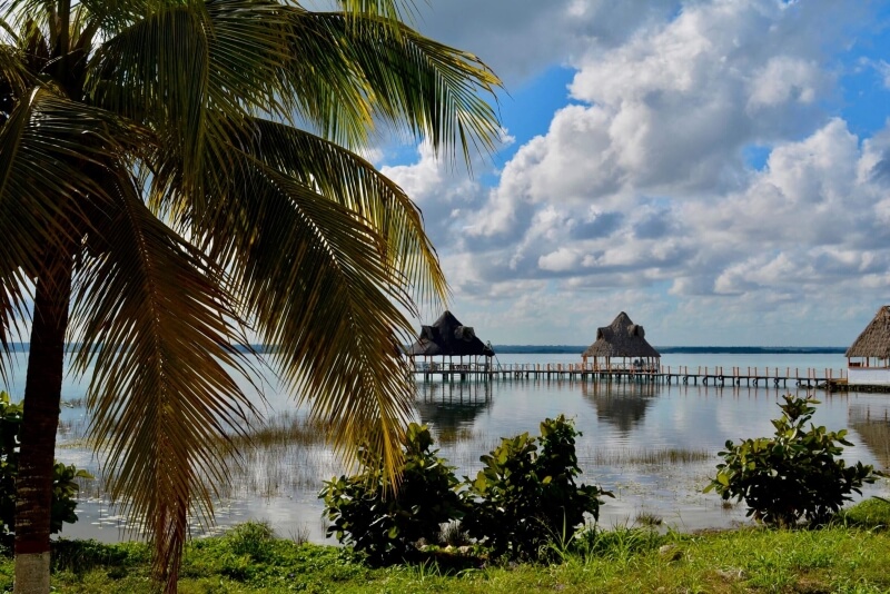 Palm Tree and Overwater Bungalow Houses