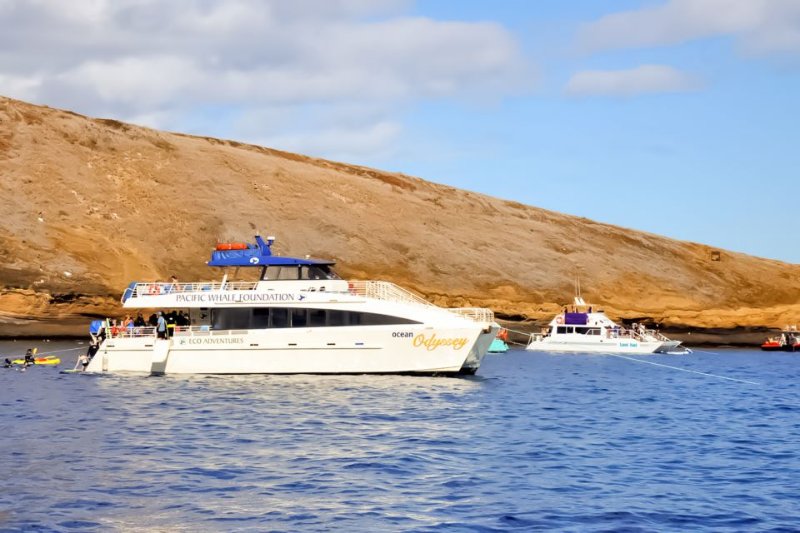 Maui Eco Friendly Molokini and Turtle Town Tour with Lunch