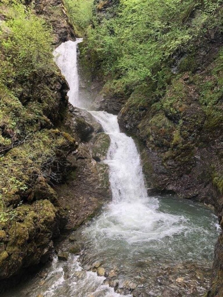 Barbara Falls (South Fork Falls) Trail