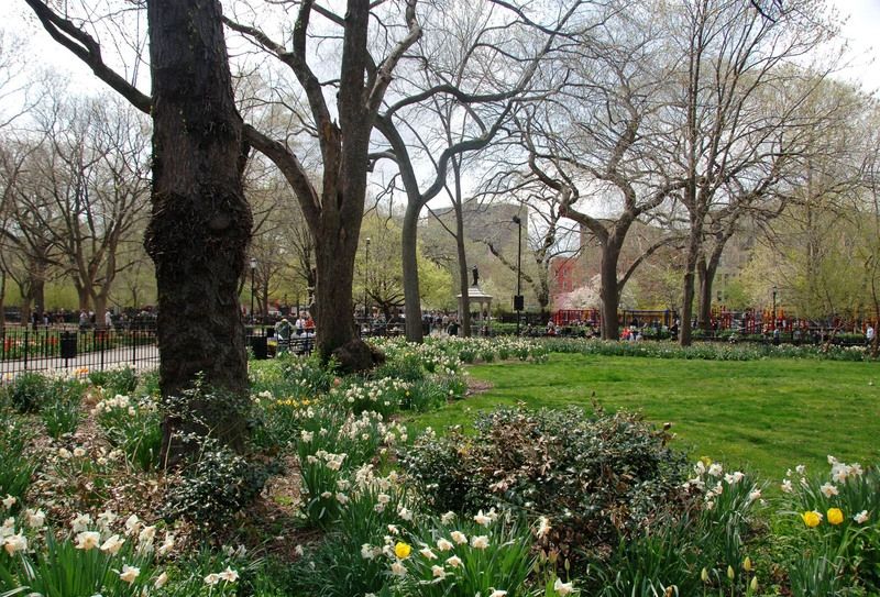 Trees and flowers at Tompkins Square Park