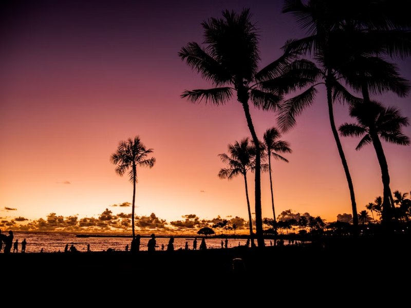 Waikiki Sunset Scenery