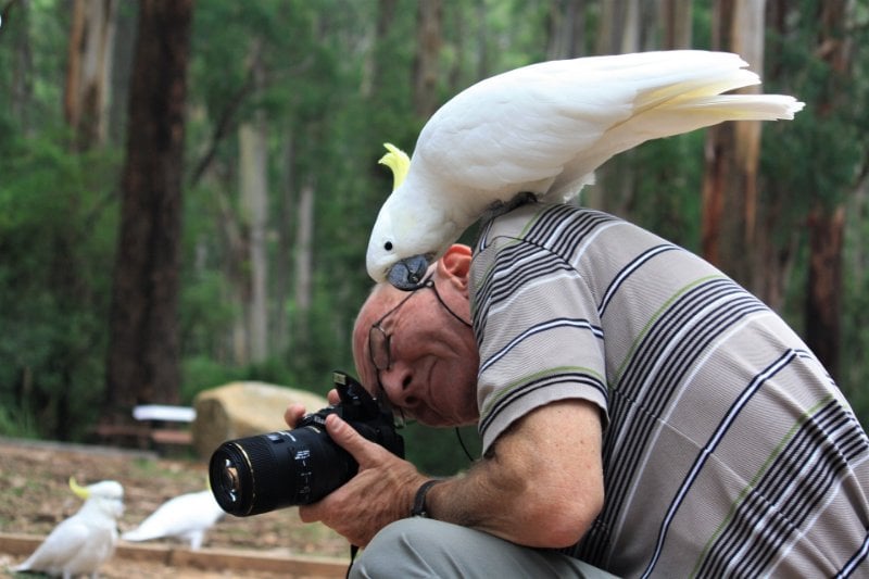 Wildlife Photographer with Birds
