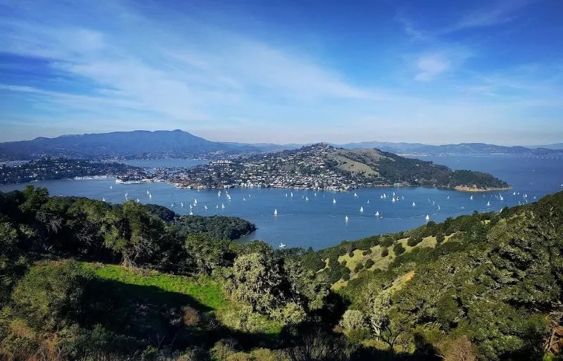 Hike and picnic in Angel Island State Park