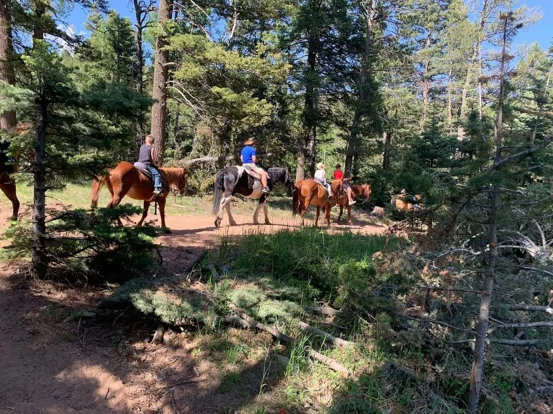 Horseback Riding in Colorado Springs