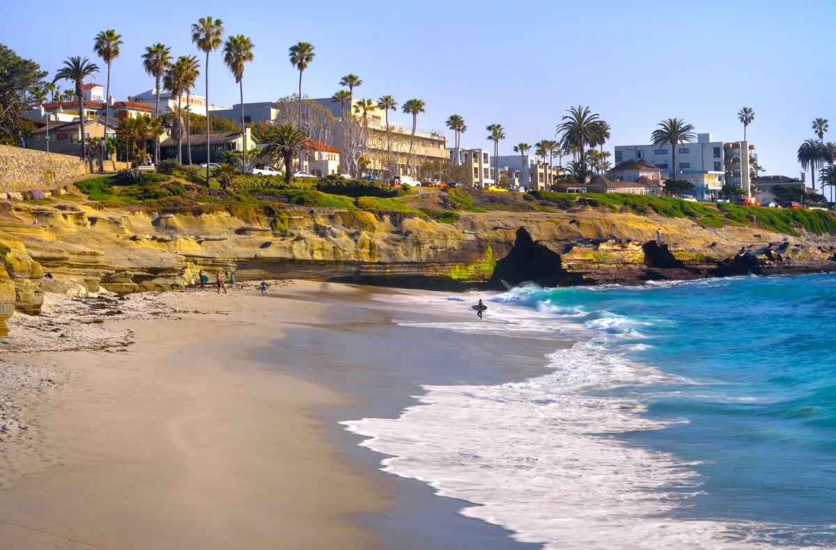 Palm trees and a coastal scene in La Jolla Shores near San Diego, California