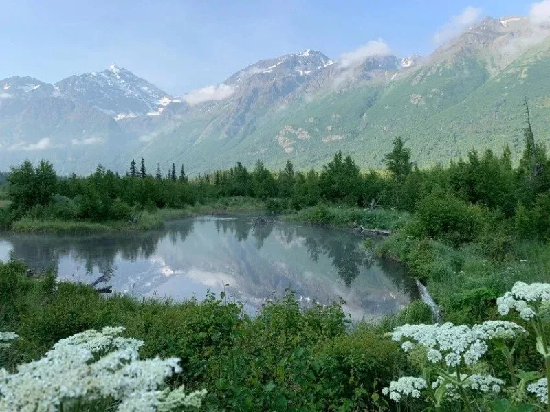 Lake and the Wilderness In Anchorage