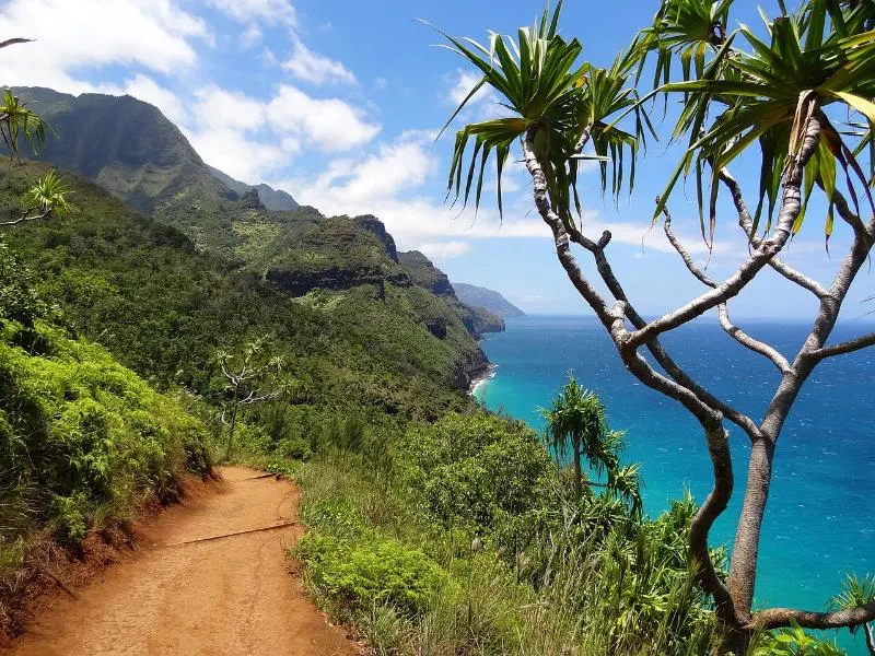 Hiking Trail in Kauai