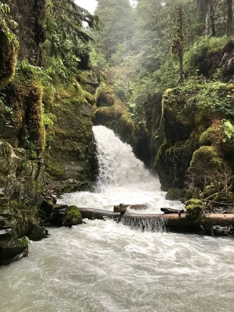 Virgin Creek Falls Trail